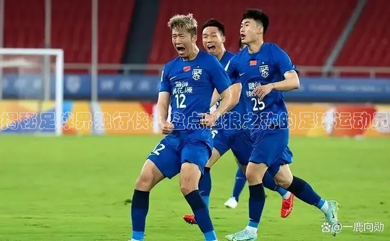 星欧平台app下载安装宇信科技揭秘足球界独行侠：盘点独狼之称的足球运动员