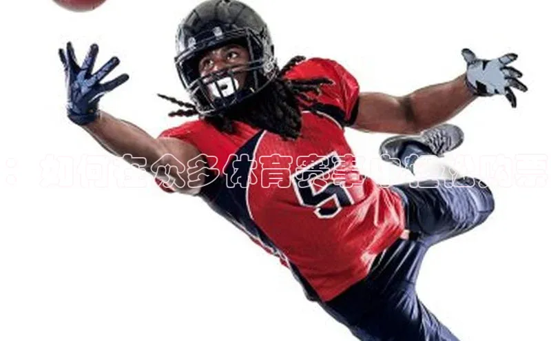 星欧平台个人登录入口百度网盘：如何在众多体育赛事中轻松购票