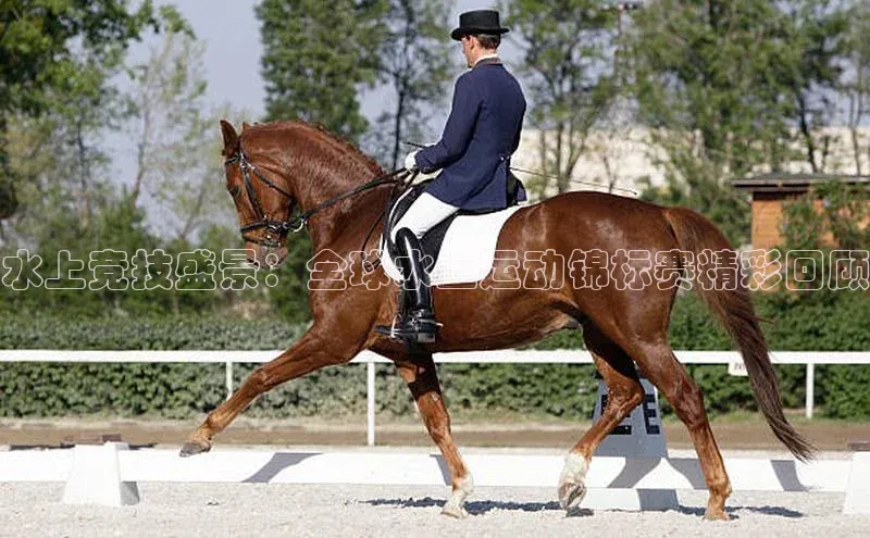 星欧平台app下载地址巴美列捷福水上竞技盛景：全球水上运动锦标赛精彩回顾