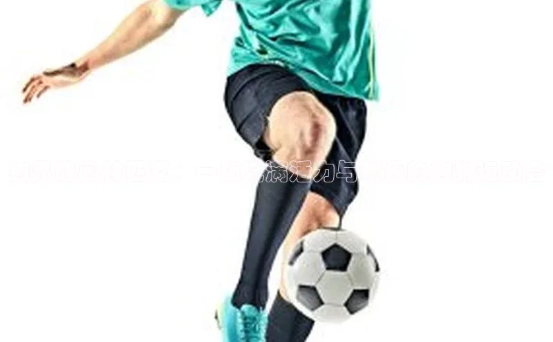 星欧账号登录入口百度众测狗界的奥林匹克：一场充满活力与欢乐的狗狗运动会