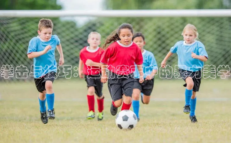 星欧平台app下载安装宇信科技拳击与技巧：运动赛事中的暴力美学