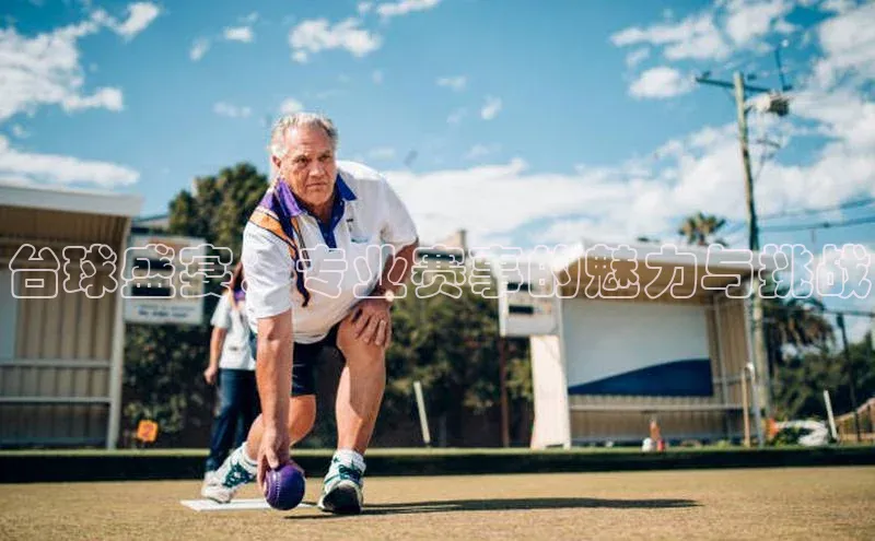 星欧娱乐平台官网入口金山办公台球盛宴：专业赛事的魅力与挑战