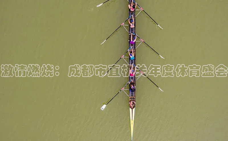 激情燃烧：成都市直机关年度体育盛会