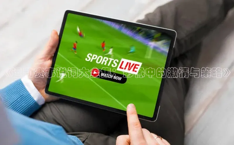 《运动赛事说词大全集：影像中的激情与策略》