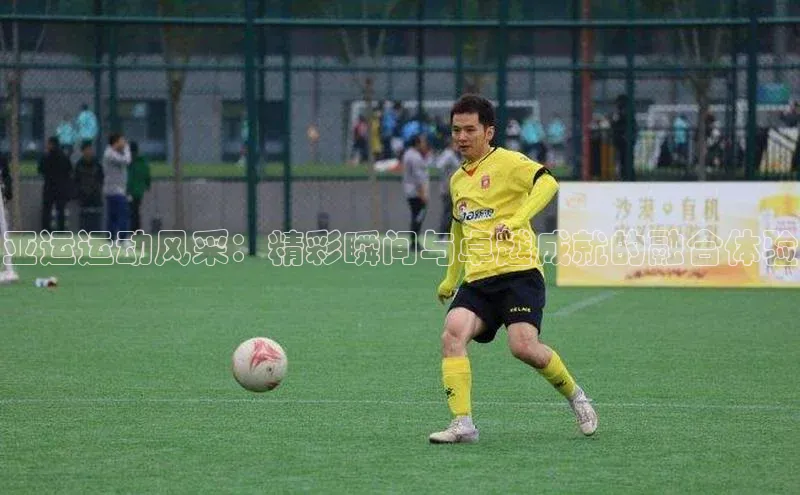 亚运运动风采：精彩瞬间与卓越成就的融合体验