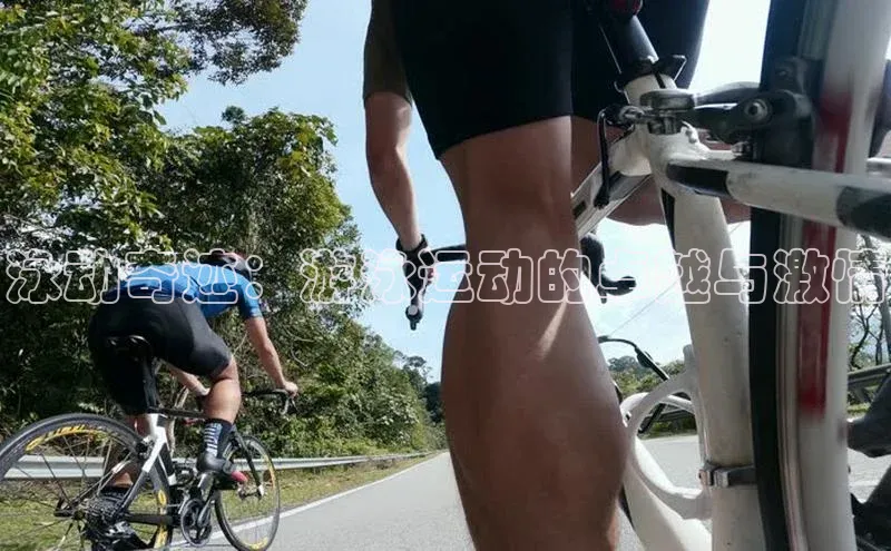 泳动奇迹：游泳运动的卓越与激情