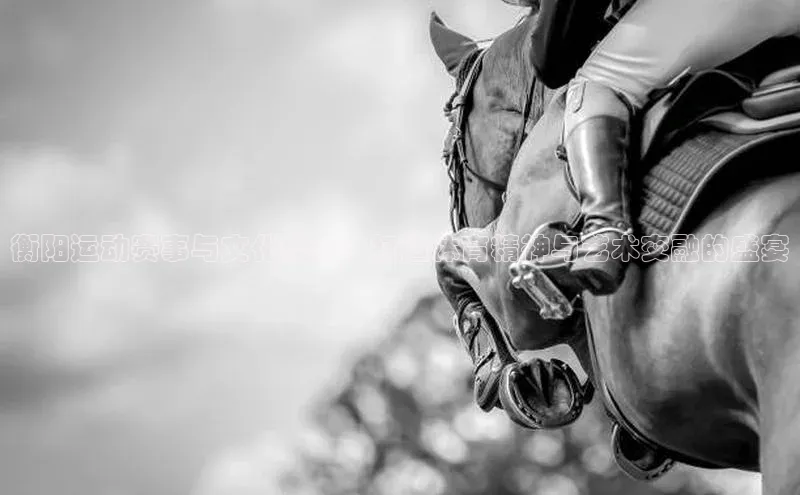 衡阳运动赛事与文化盛事：打造体育精神与艺术交融的盛宴