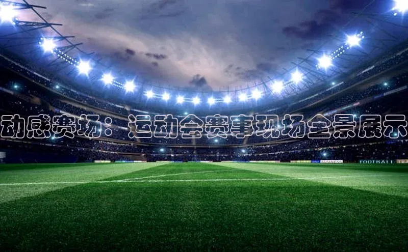 动感赛场：运动会赛事现场全景展示