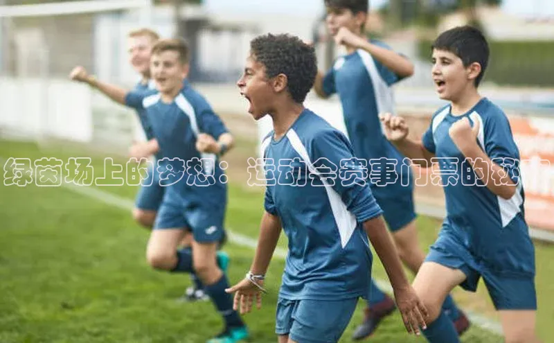 绿茵场上的梦想：运动会赛事门票的秘密