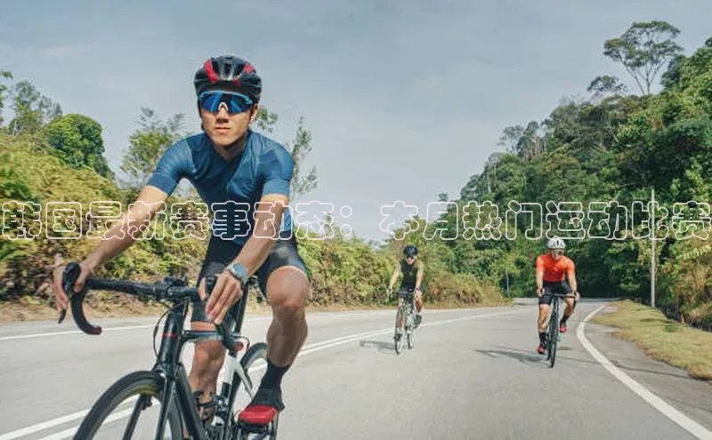 韩国最新赛事动态：本月热门运动比赛