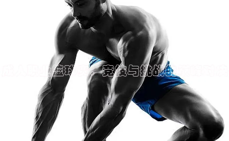 成人职业篮球赛：竞技与挑战的巅峰对决