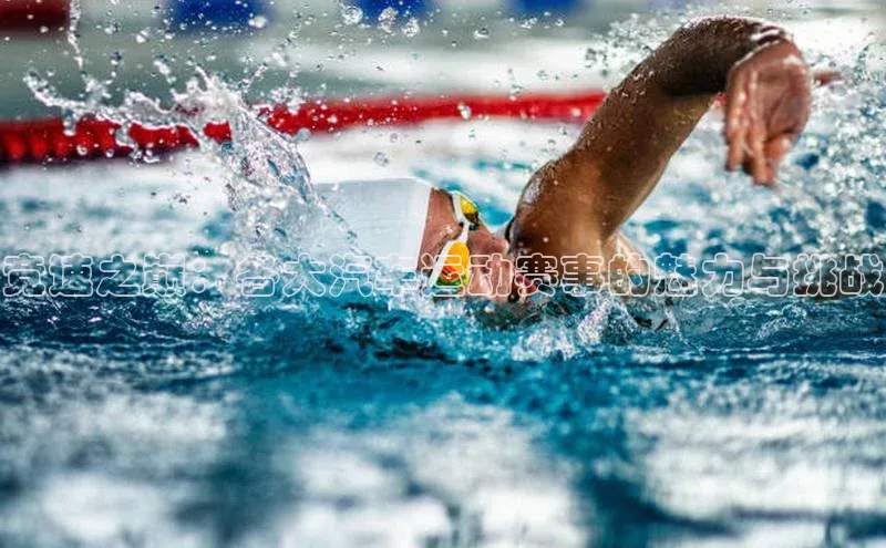 竞速之巅：各大汽车运动赛事的魅力与挑战