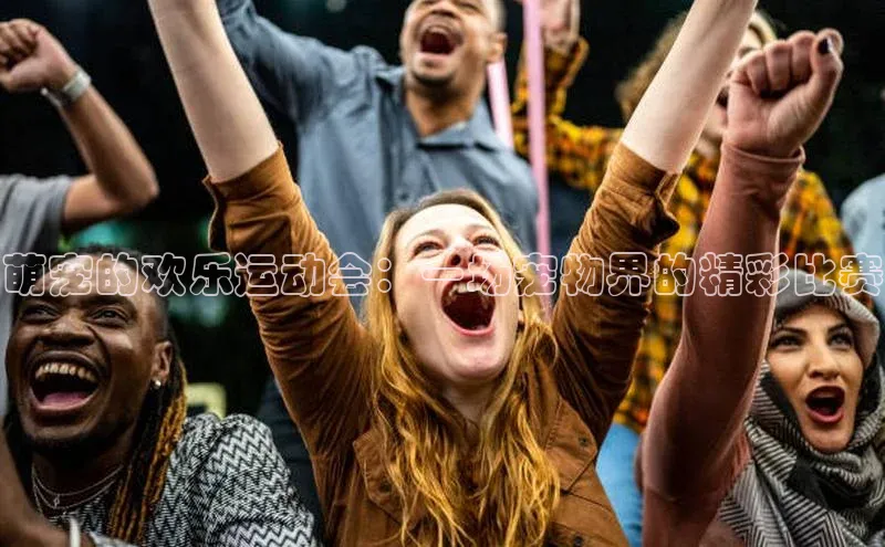 萌宠的欢乐运动会：一场宠物界的精彩比赛