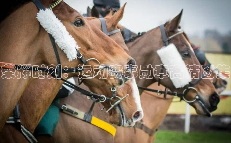 荣耀时刻：运动赛事勋章高清图集