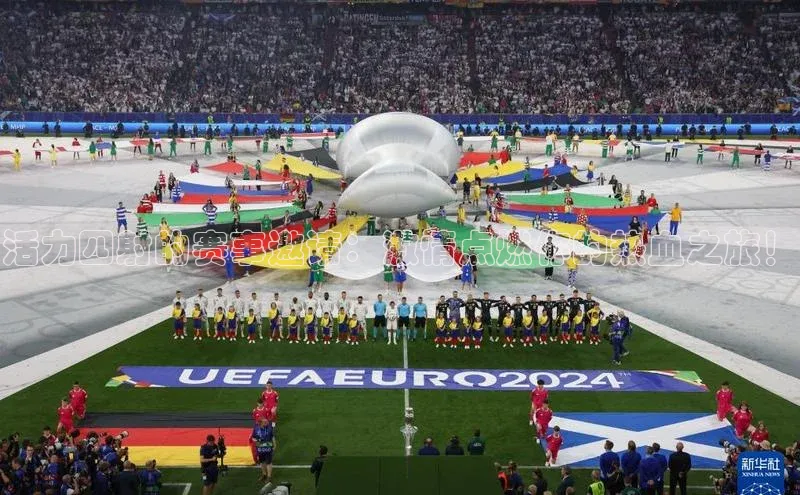 星欧app官方下载