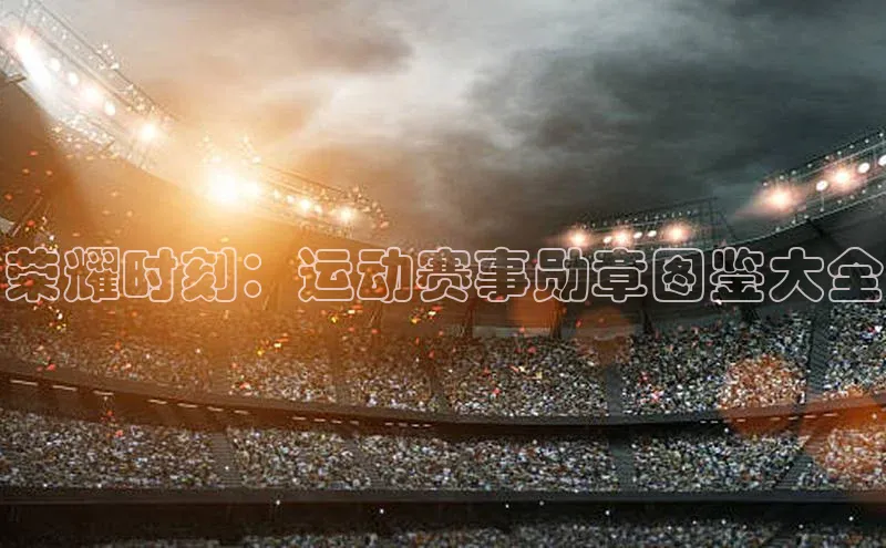 星欧官方网站登录入口