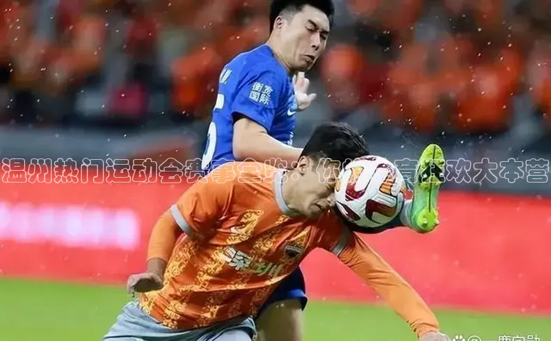 温州热门运动会赛事全览：你的体育狂欢大本营